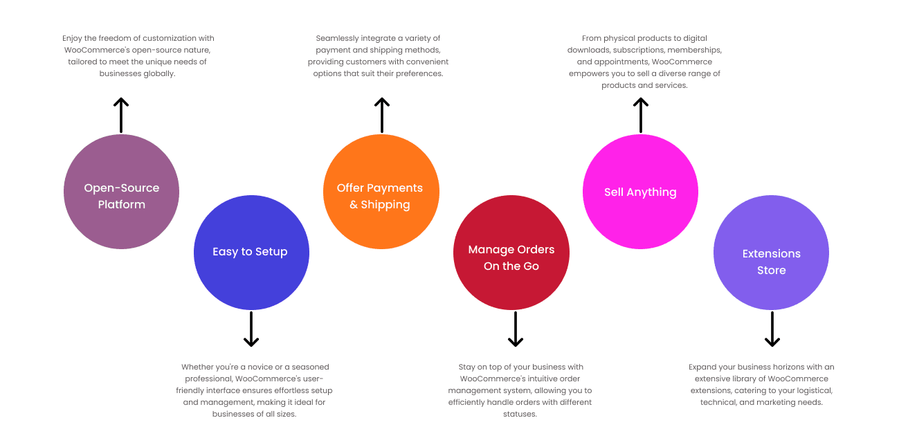 Magento Ecommerce Development